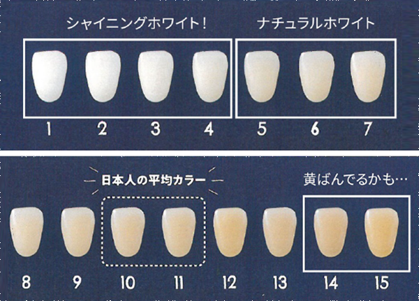 歯の色早見表